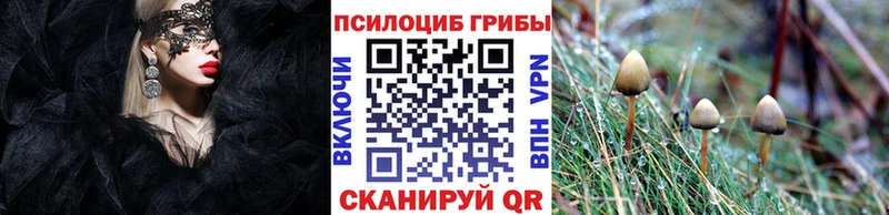 Псилоцибиновые грибы GOLDEN TEACHER  Темрюк 